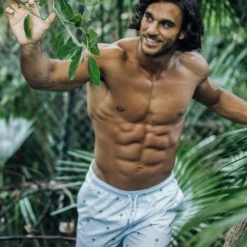 Bermies Mens Swim Trunk In Palm Stripes